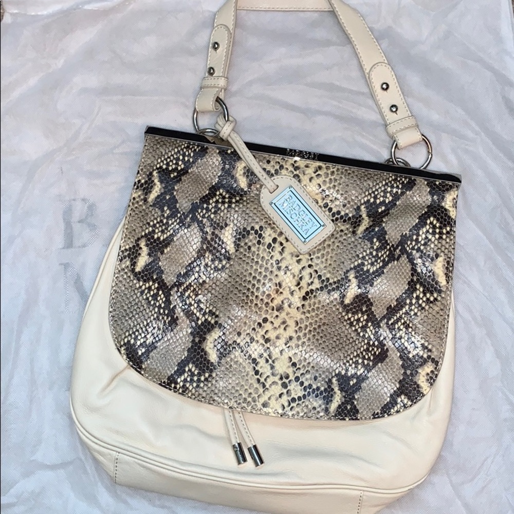 Badgley Mischka Bag
